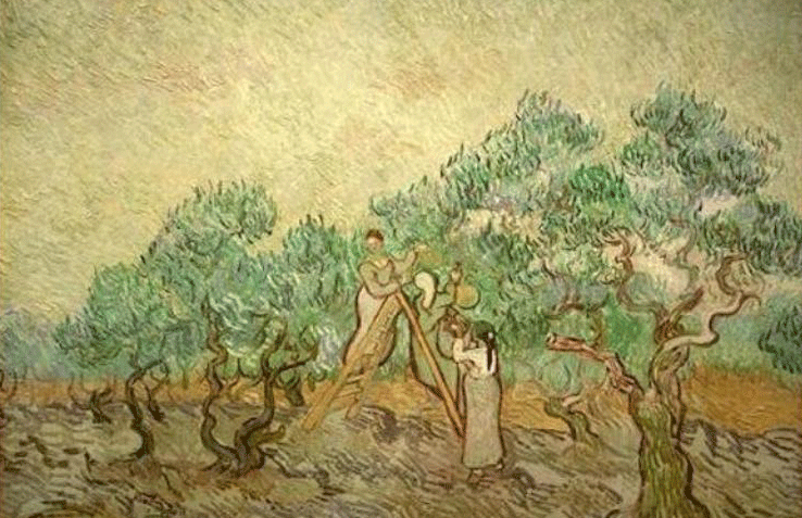 Пиар и отвага: история с оливками